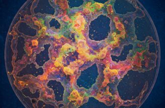 Seminář o mikrobiální virulenci – biofilmy a testy rezistence séra